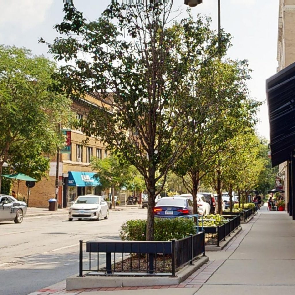 Local Attractions 116 Tapestry-Station-Neighborhood-09052023_075904