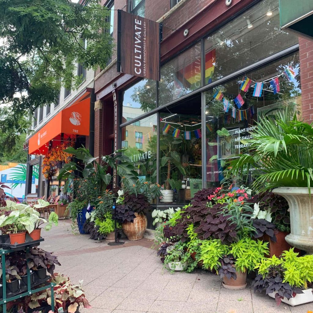 Local Attractions 112 cultivate-min