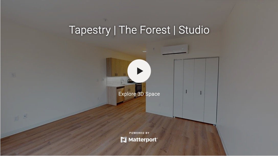 The Forest | Studio